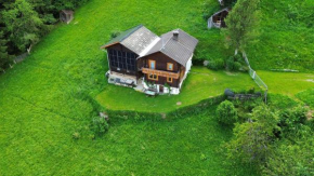 Panoramablick Line Winklern